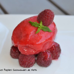 Sorbet Framboises