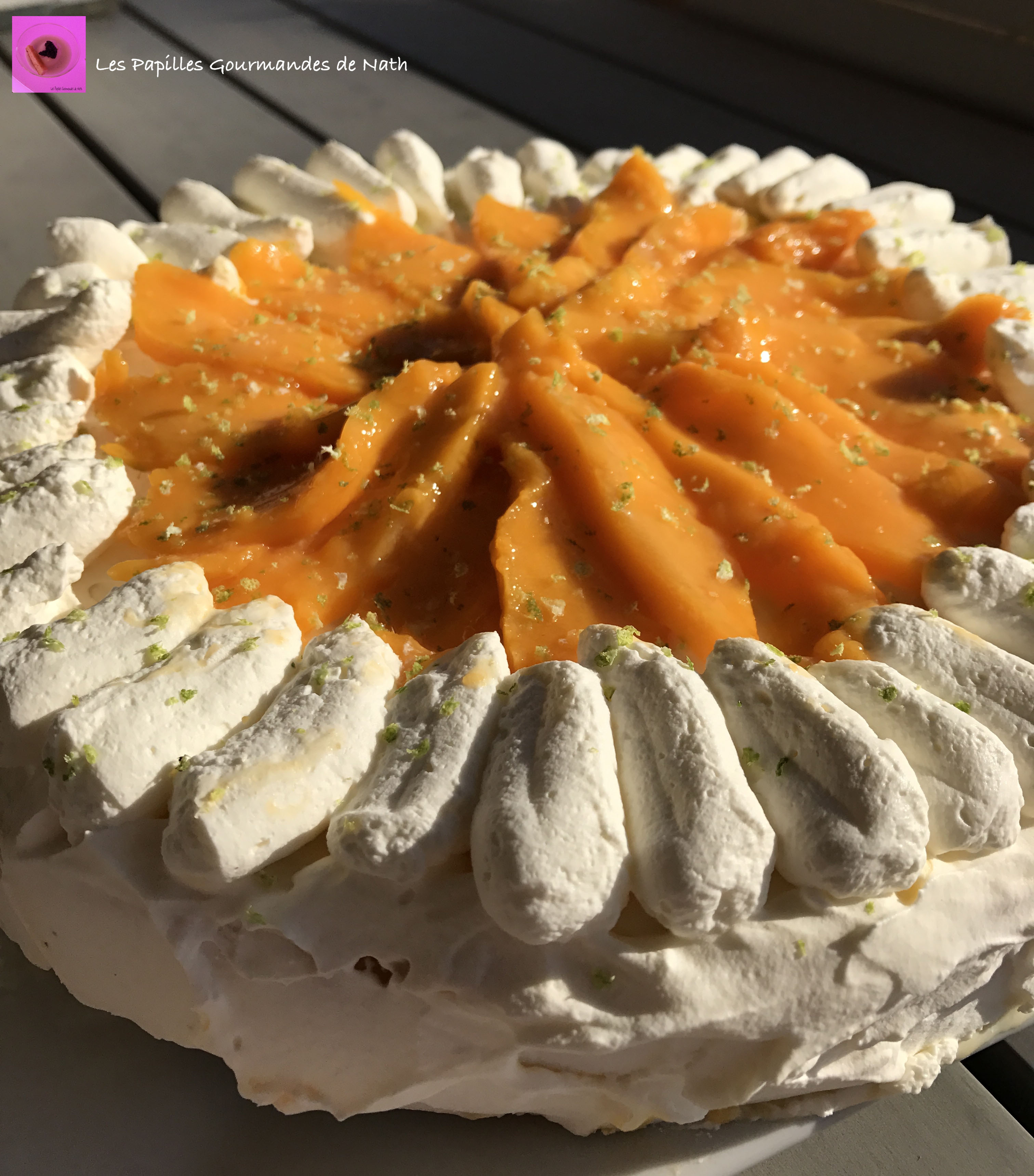 Vacherin Mangue vanille