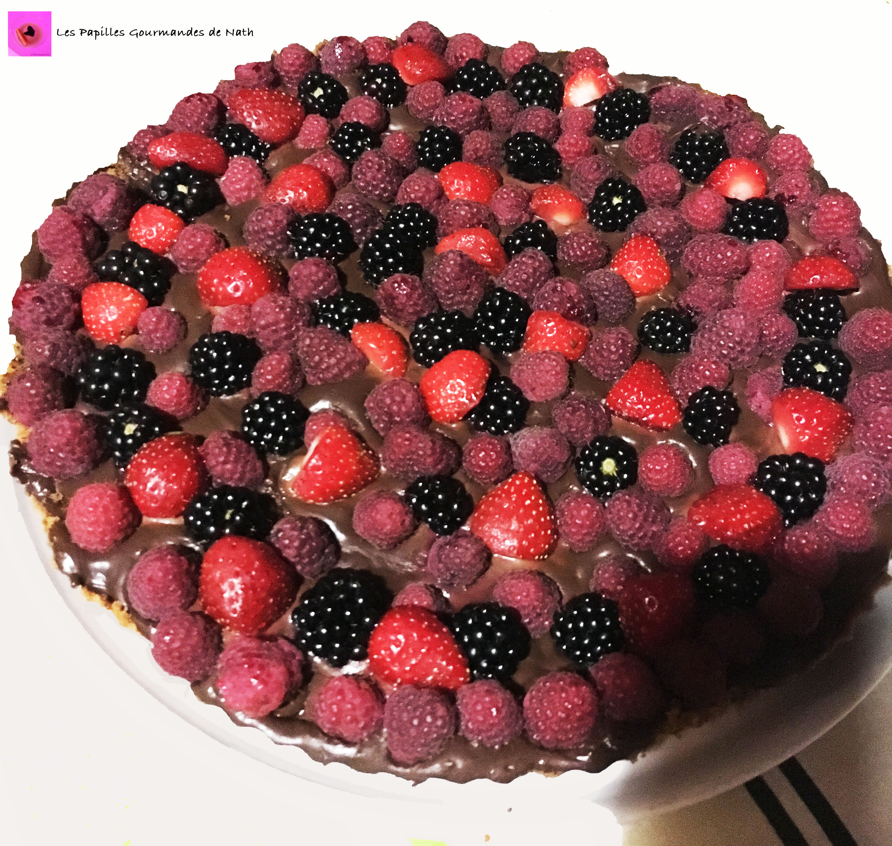 Tarte spéculos chocolat coco fruits rouges